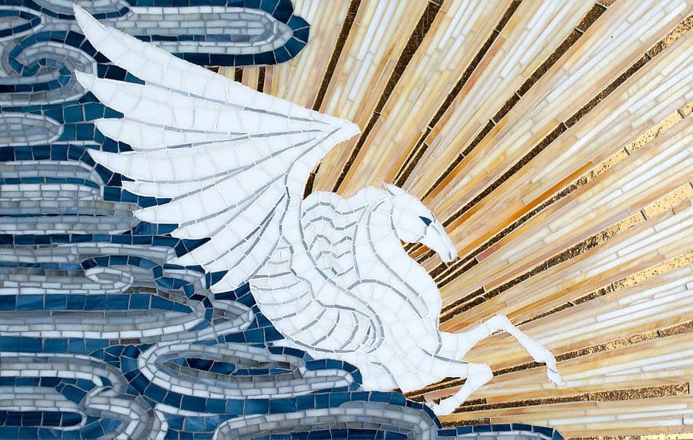 Moon Jellies - New Ravenna