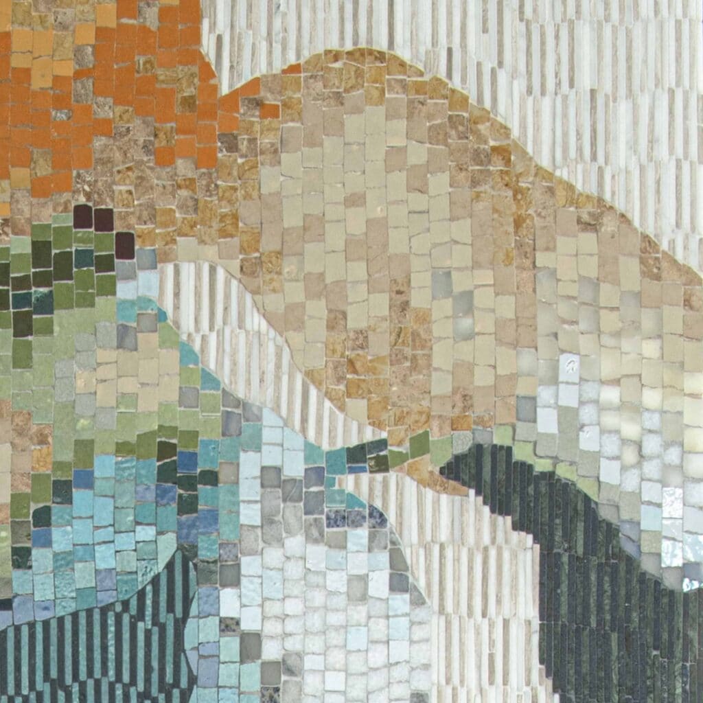 Moon Jellies - New Ravenna