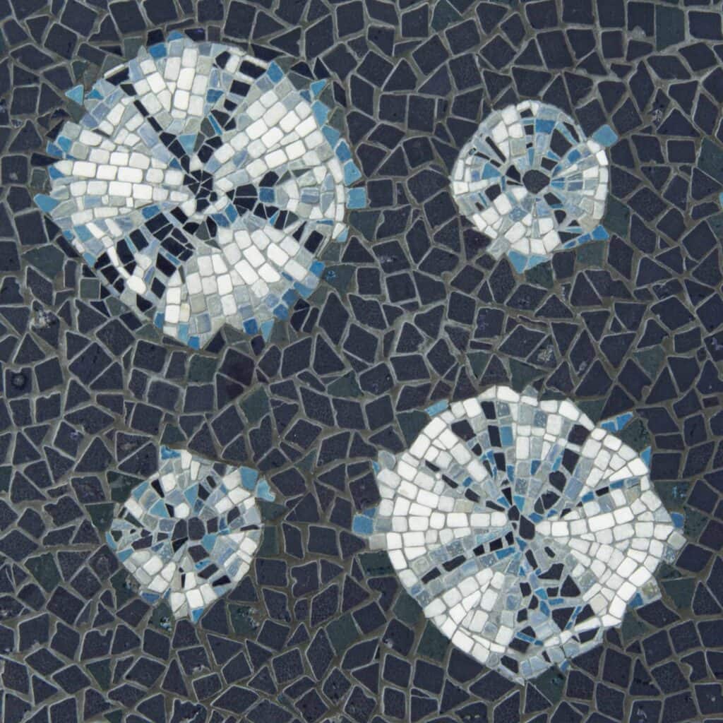 Moon Jellies - New Ravenna